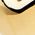 Color Swatch - Gold