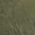 Color Swatch - Green