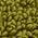 Color Swatch - Moss Green