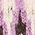 Color Swatch - Purple