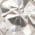 Color Swatch - Silver