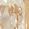 Color Swatch - Gold