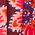 Color Swatch - Floral