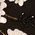 Color Swatch - Black
