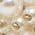 Color Swatch - Ivory
