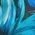 Color Swatch - Blue