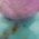 Color Swatch - Blue