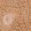 Color Swatch - Tan