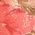 Color Swatch - Floral