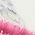 Color Swatch - Floral