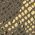 Color Swatch - Animal