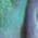 Color Swatch - Blue