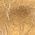 Color Swatch - Gold