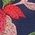 Color Swatch - Floral