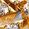 Color Swatch - Gold