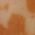 Color Swatch - Multi