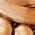 Color Swatch - Gold
