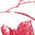 Color Swatch - Red