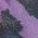 Color Swatch - Purple