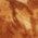 Color Swatch - Brown