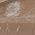 Color Swatch - Chai Latte