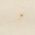 Color Swatch - Ivory