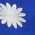 Color Swatch - Blue