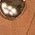 Color Swatch - Brown