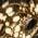 Color Swatch - Gold