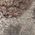 Color Swatch - Deer Camo
