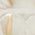 Color Swatch - Ivory