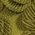 Color Swatch - Green