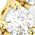 Color Swatch - Gold