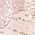 Color Swatch - Pink