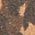 Color Swatch - Animal