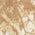 Color Swatch - Brown