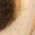 Color Swatch - Gold