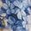 Color Swatch - Blue