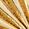 Color Swatch - Gold