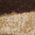 Color Swatch - Animal