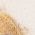 Color Swatch - Ivory