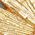Color Swatch - Gold