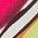 Color Swatch - Multi/Misc