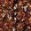 Color Swatch - Brown