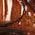 Color Swatch - Tortoise Shell