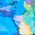 Color Swatch - Floral