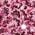 Color Swatch - Pink