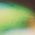 Color Swatch - Green