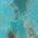 Color Swatch - Blue