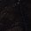Color Swatch - Black